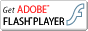 Get Adobe Flash Player button