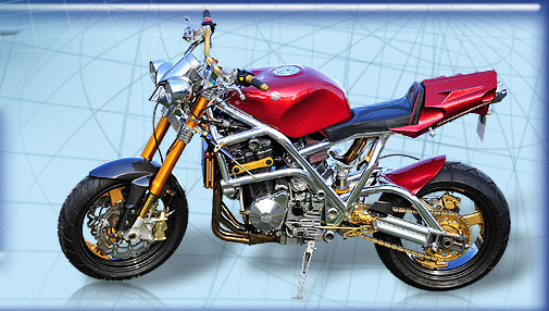 Custom Motorcycle Parts image
