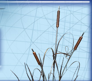 Reeds image