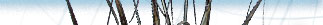 Reeds image